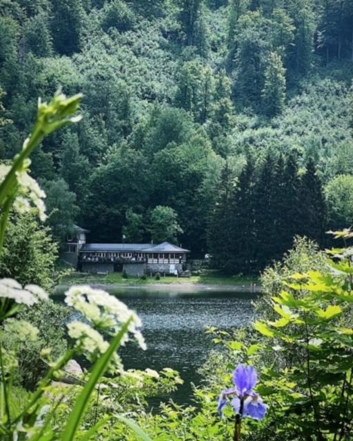 Sloneczny Dom Nad Jeziorem Bystrzyckim Villa Zagórze Śląskie Esterno foto